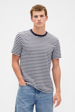 Everyday Soft Stripe Crewneck T-Shirt