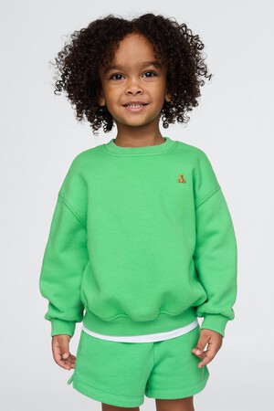 Baby & Toddler VintageSoft Sweatshirt