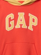 Kids Vintage Soft Logo Hoodie