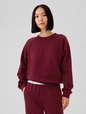 Vintage Soft Raglan Sweatshirt