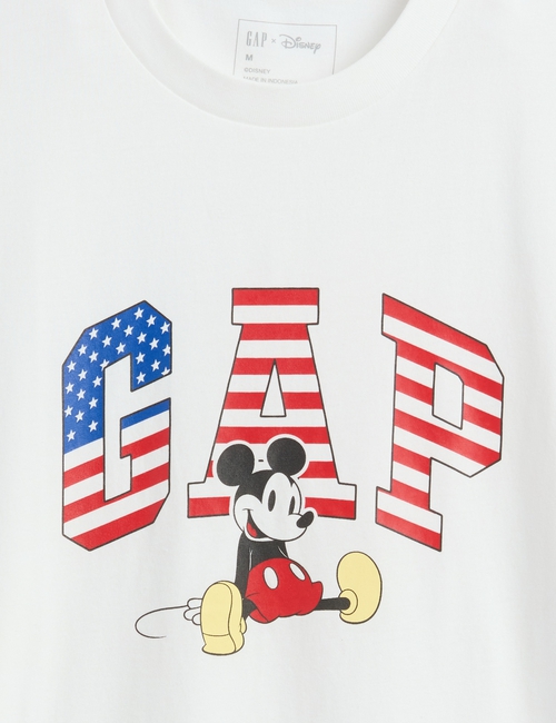 V-DIS AMERICAN