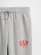 V-DIS FAM FALL LOGO JOGGER