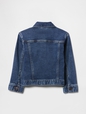 babyGap Sweatshirt Icon Denim Jacket