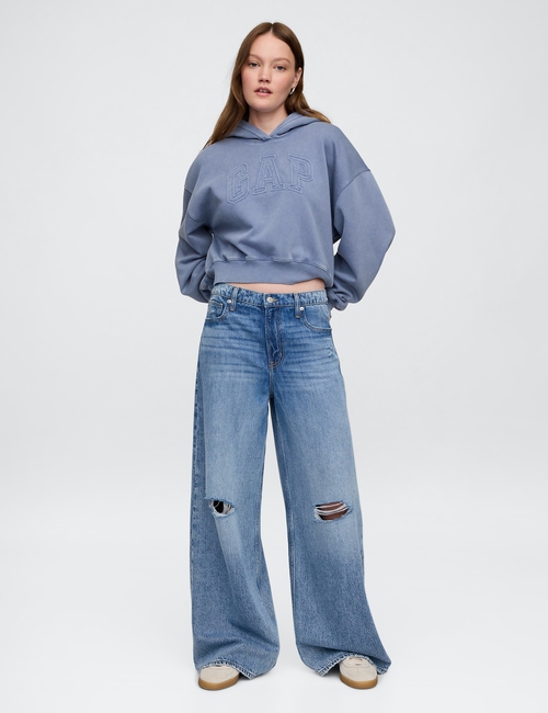VintageSoft Cropped Logo Hoodie