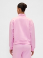 VintageSoft 1969 Logo Half-Zip Pullover