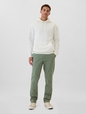 Modern Khakis in Slim Fit with GapFlex