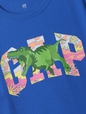 Kids Graphic T-Shirt