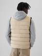 ColdControl Puffer Vest