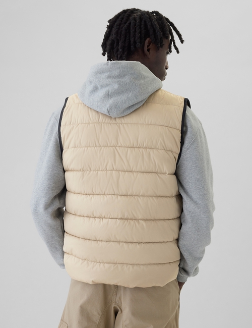 ColdControl Puffer Vest