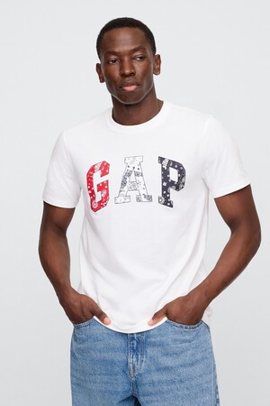 V-EVERYDAY SOFT NOVELTY AMERICANA LOGO
