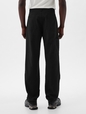 Carpenter Pants