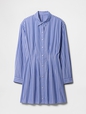 Stripe Poplin Mini Shirtdress