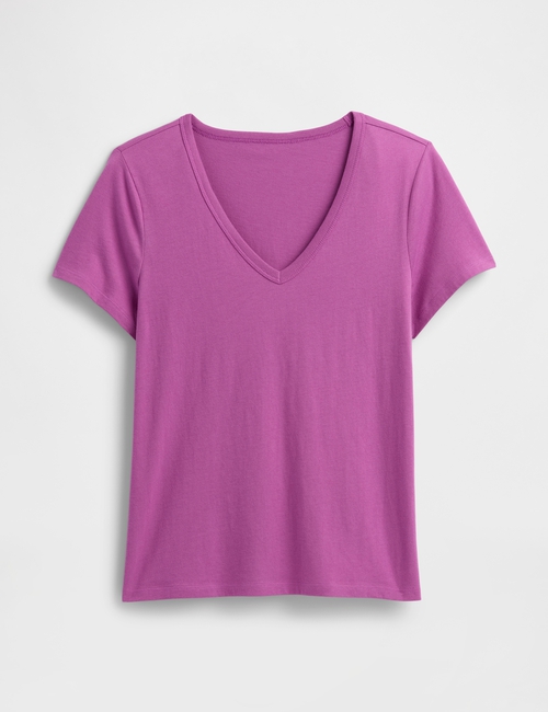 Favorite V-Neck T-Shirt