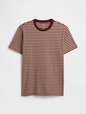 V-EVERYDAY SOFT CREW - STRIPE