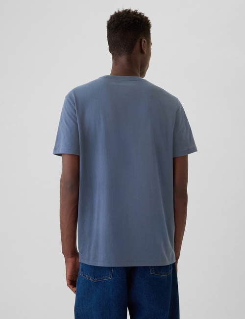 Everyday Soft Gap Graphic T-Shirt