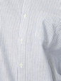 Oxford Shirt in Standard Fit