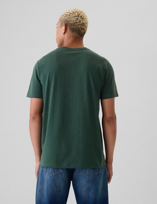 Everyday Soft Gap Graphic T-Shirt