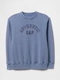 Vintage Soft French Terry Logo Sweatshirt