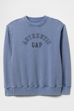 Vintage Soft French Terry Logo Sweatshirt