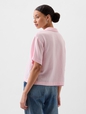 V-SS POPOVER T