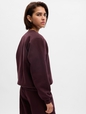 Vintage Soft Raglan Sweatshirt