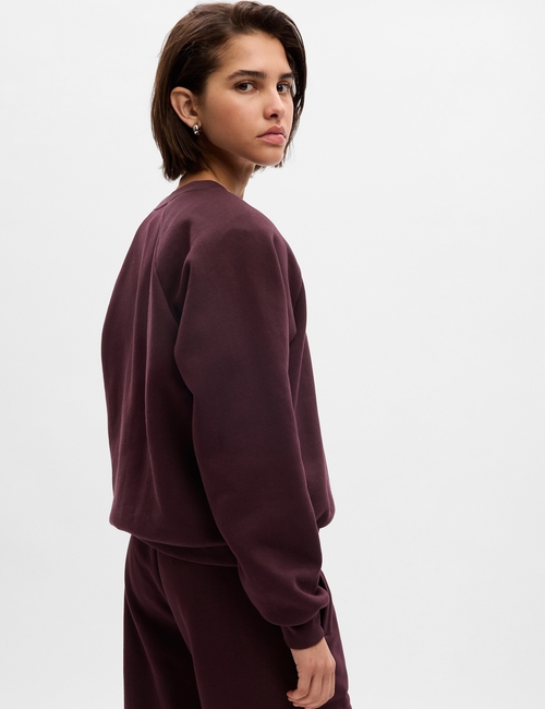 Vintage Soft Raglan Sweatshirt
