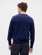 V-INTX GAP ATHLETIC INTARSIA RLXD CREW