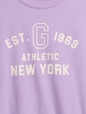 JPN IE SS LOGO CROPPED