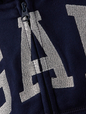 Kids Gap Arch Logo Hoodie