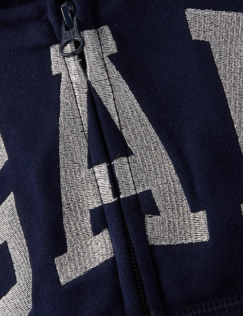 Kids Gap Arch Logo Hoodie