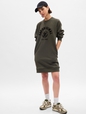 Vintage Soft Logo Sweatshirt Dress