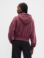 NEW ABBREV FZ HOOD