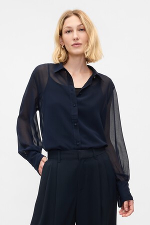 Sheer Shirt