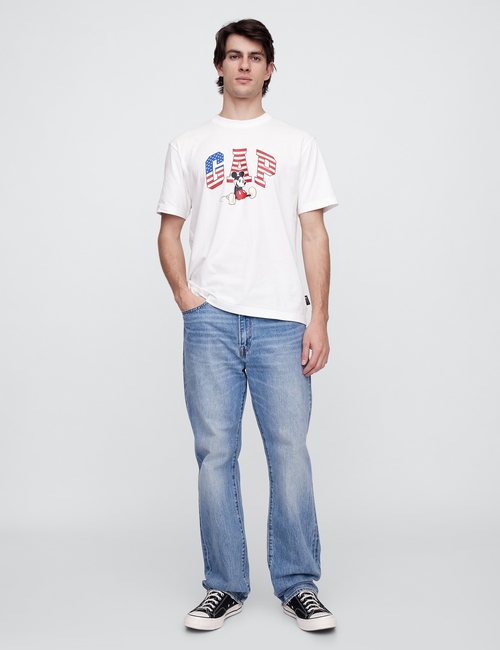V-DIS AMERICAN