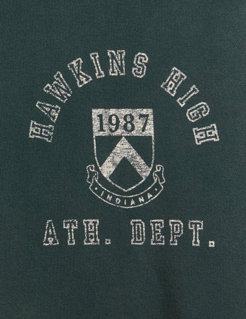 Stranger Things Adult Heavyweight Hoodie