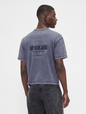 SS WORLD STANDARD CROPPED LOGO T
