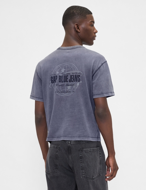 SS WORLD STANDARD CROPPED LOGO T