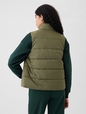 ColdControl Puffer Vest