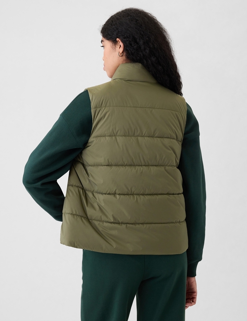 ColdControl Puffer Vest