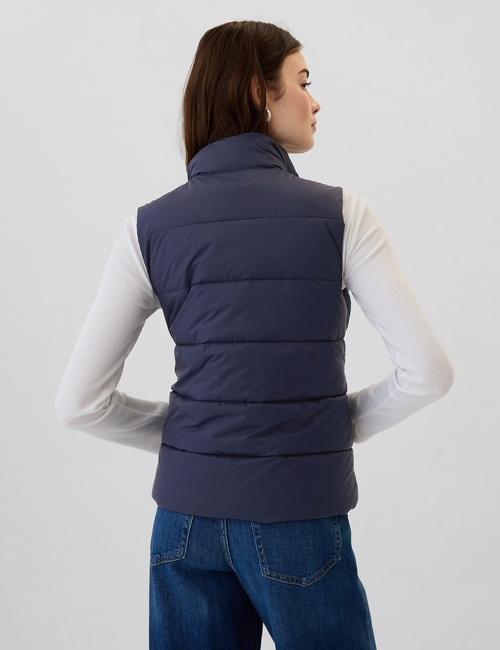 ColdControl Puffer Vest
