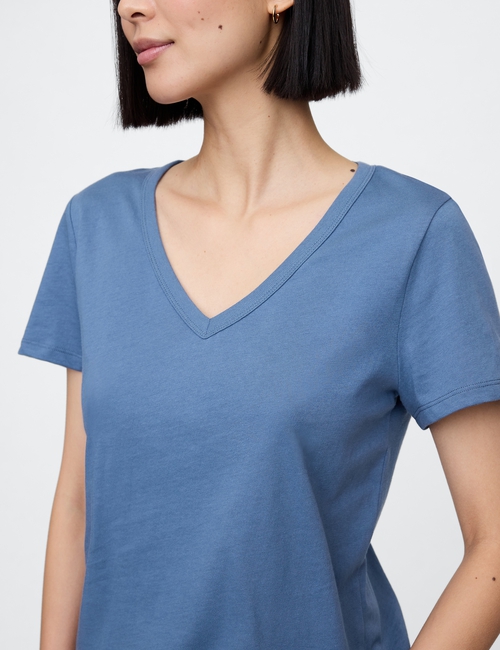Favorite V-Neck T-Shirt