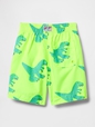 Baby & Toddler Swim Trunks