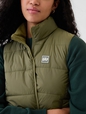 ColdControl Puffer Vest