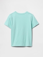 Baby & Toddler Mix & Match Graphic T-Shirt