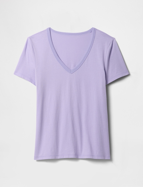 Favorite V-Neck T-Shirt