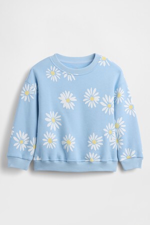 Baby & Toddler VintageSoft Graphic Sweatshirt