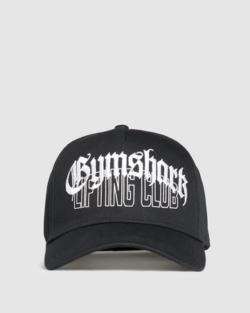 GFX Distressed Cap