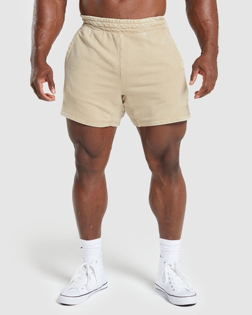 Power Washed 5" Shorts