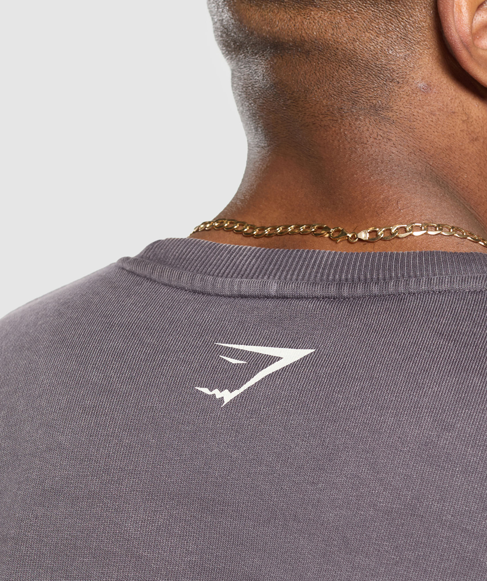 Distressed Graphic Crew