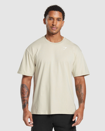 Essential Oversized T-Shirt:Pebble Grey:L